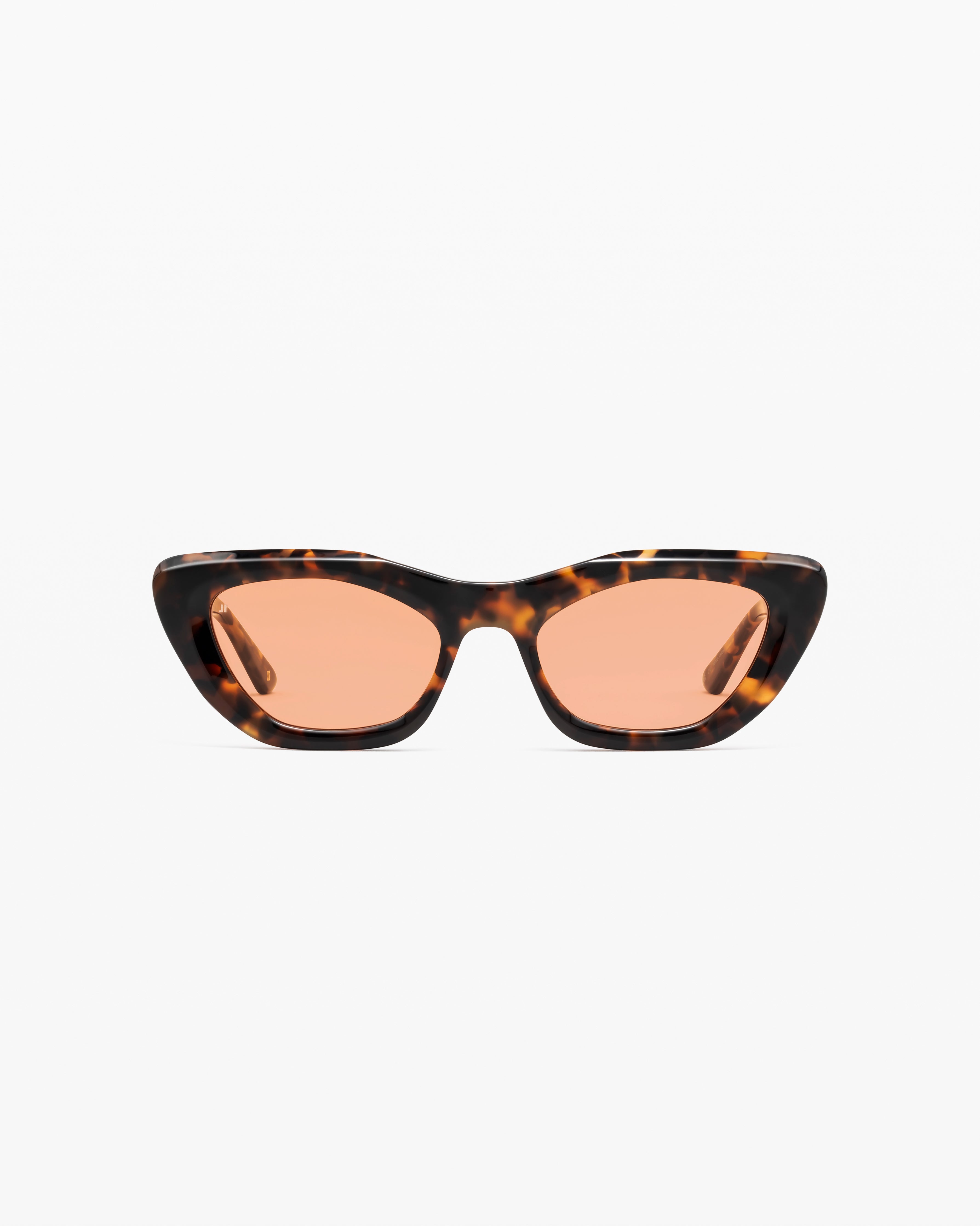 Aliza JF Colors - Vibrant & Stylish