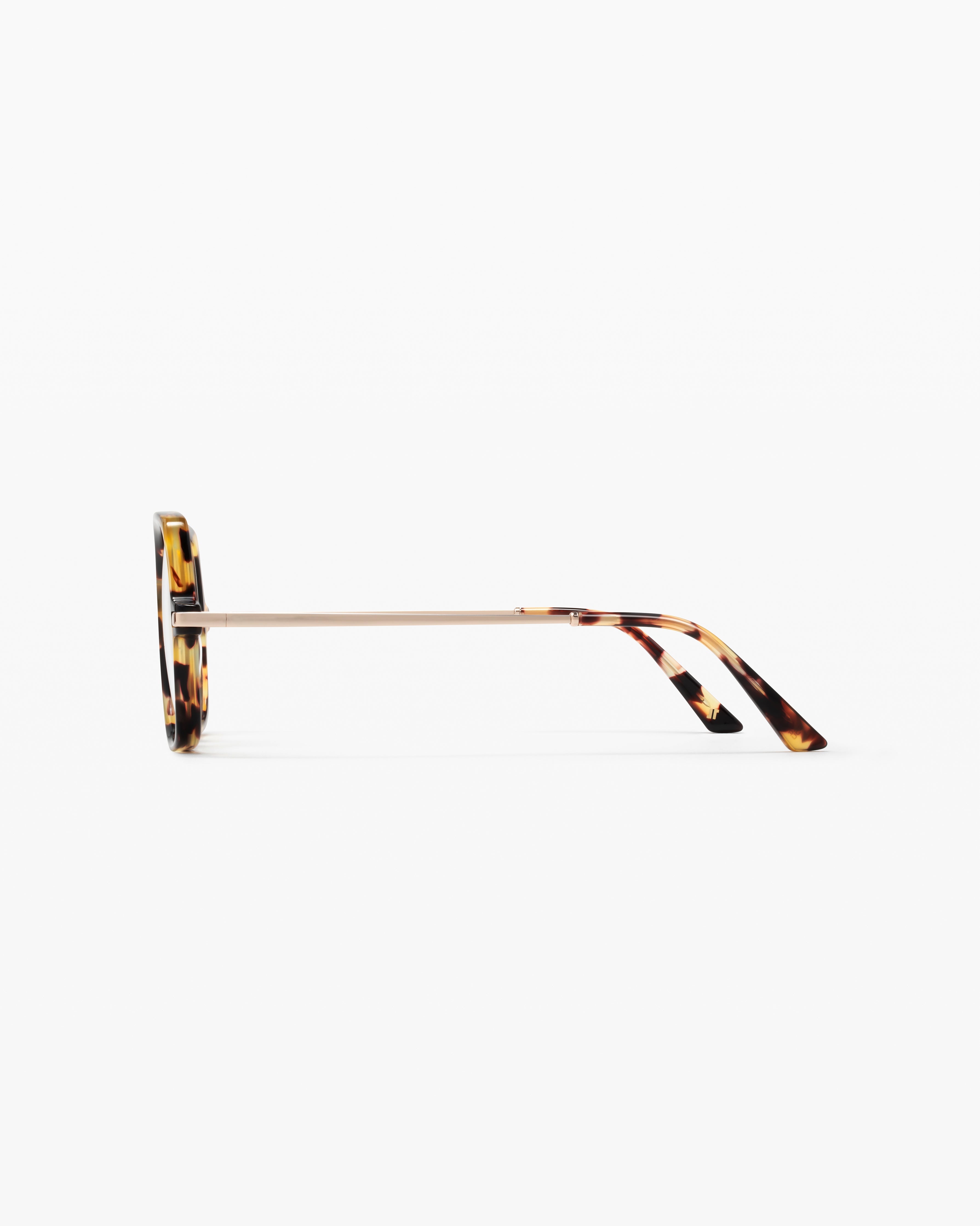 Dimby XL - Compact and Stylish Everyday Essential
