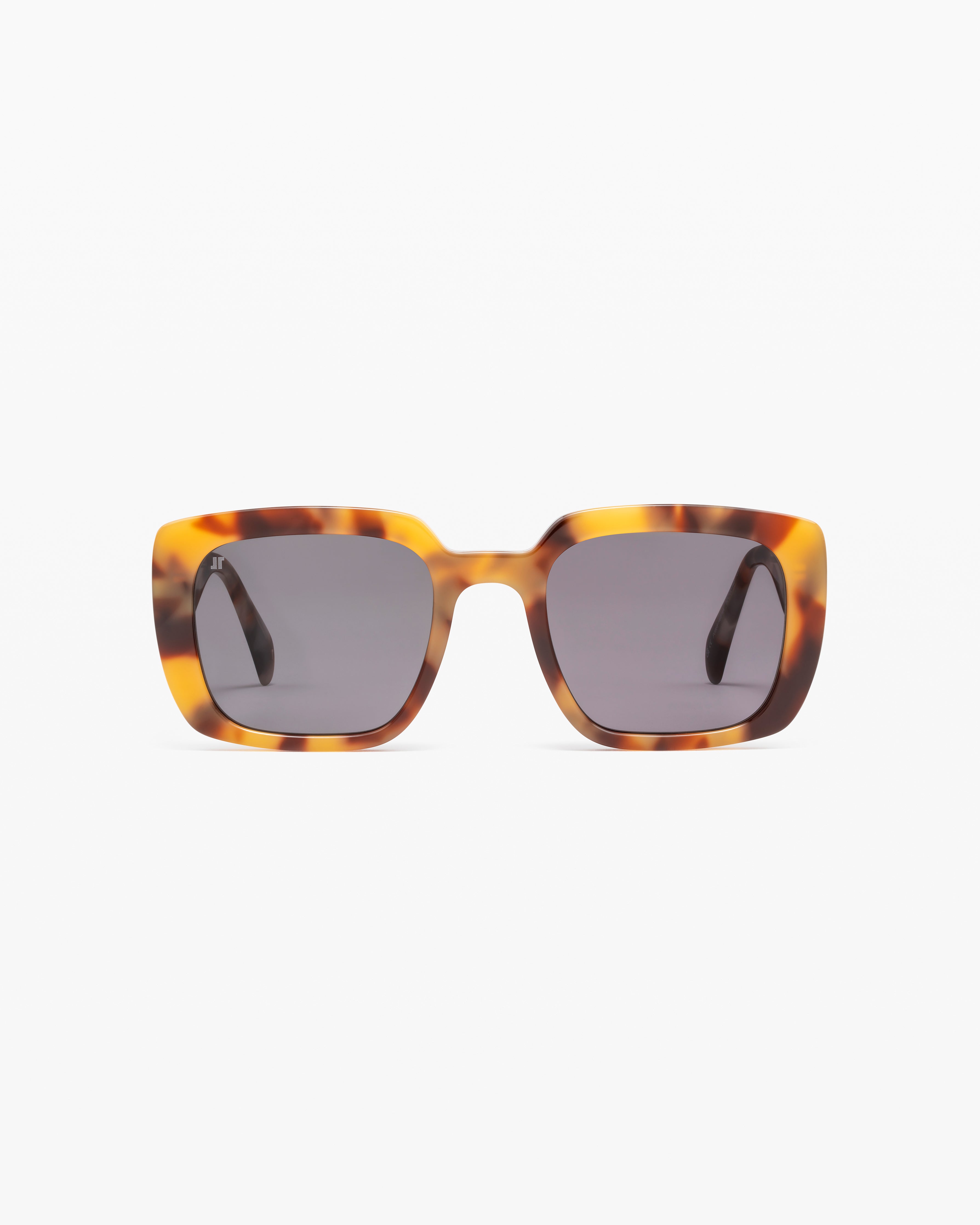 Ayla JF Colors - Vibrant & Stylish